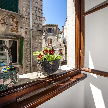 Taylor Rovinj
